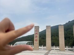 -铁山坪森林公园