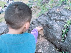 -三峡国际房车露营地(G348店)