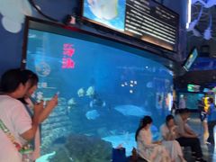 -烟台海昌鲸鲨海洋公园