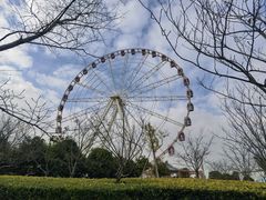 -自然谷恐龙园
