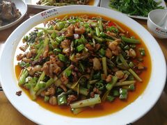-功夫兔