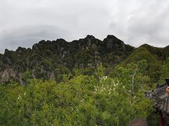 -王顺山国家森林公园