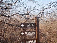 -阳台山自然风景区