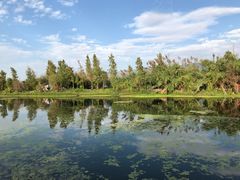 -才村湿地公园