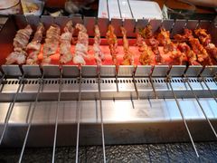 -邢氏老太太烤串(北兴街店)