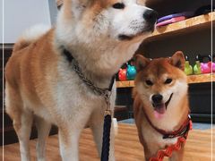 -YCHL Studios健身工作室(市二宫店)