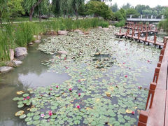 android_upload_pic-苏州金鸡湖大酒店