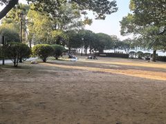 -燕鸣岛