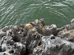-南诏风情岛