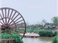 -黄龙溪欢乐田园