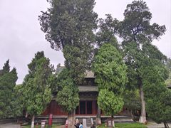 -报恩寺(平武县)