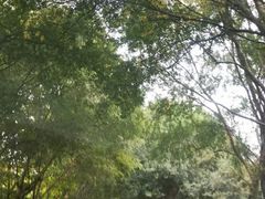 -天目湖涵田半山温泉