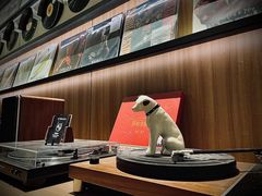 -黑胶星球(华发中城商都店)
