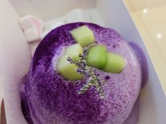 -狐狸和向日葵(北京路店)