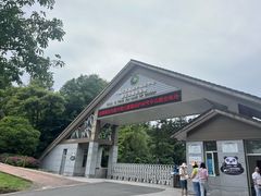 -中国大熊猫保护研究中心雅安碧峰峡基地