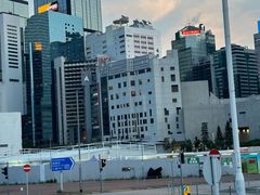 -Big Bus Tours 敞篷观光巴士
