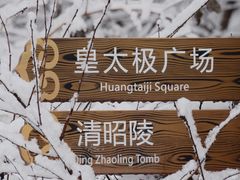 -北陵公园