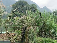 -靖西鹅泉风景区