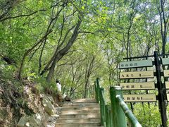 -少华山国家森林公园