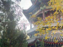 -宫事颐庭·老佛爷贵寿下午茶(颐和园店)