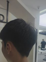 -天使之手
