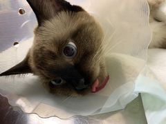 -宠颐生中康贝怡动物医院