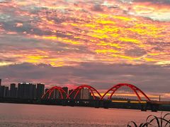 -洋湖国家湿地公园