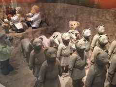 -济州岛泰迪熊博物馆