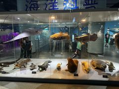 -泉城欧乐堡海洋极地世界
