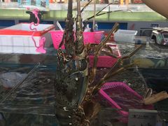 -清水湾3号(东方小周海鲜店)