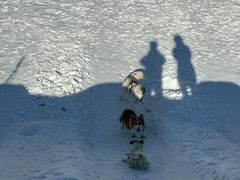 -宠乐会宠物乐园