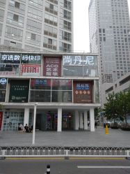 -尚丹尼造型