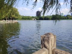 -济南大明湖景区