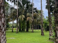 -中国科学院西双版纳热带植物园