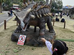 -自贡恐龙博物馆