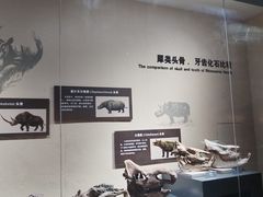 -大庆市博物馆