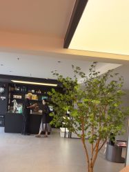 -付军剪艺JF ProSalon