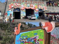 -西霞口神雕山野生动物世界