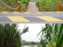 -那考河湿地公园
