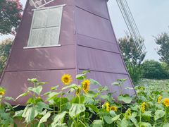 -武汉紫薇都市田园