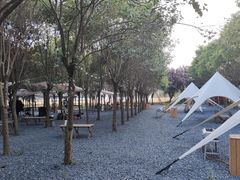 -秦岭风景区