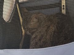 -纳吉亚猫专科动物医院·北北分院