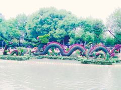 -汇龙潭