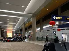 -上海浦东国际机场-T2航站楼