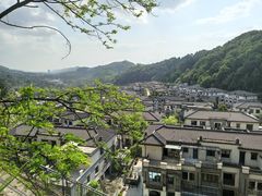-南山植物园
