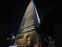 -上海柏悦酒店