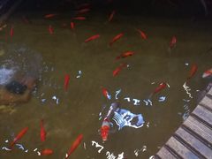 -弘医堂中医院
