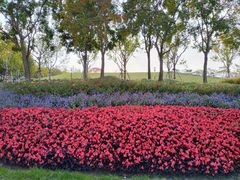 -上海山野camping·户外天幕烧烤·团建拓展营地