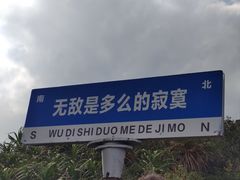 -杨梅坑