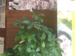 -欢乐口腔(望京分院)